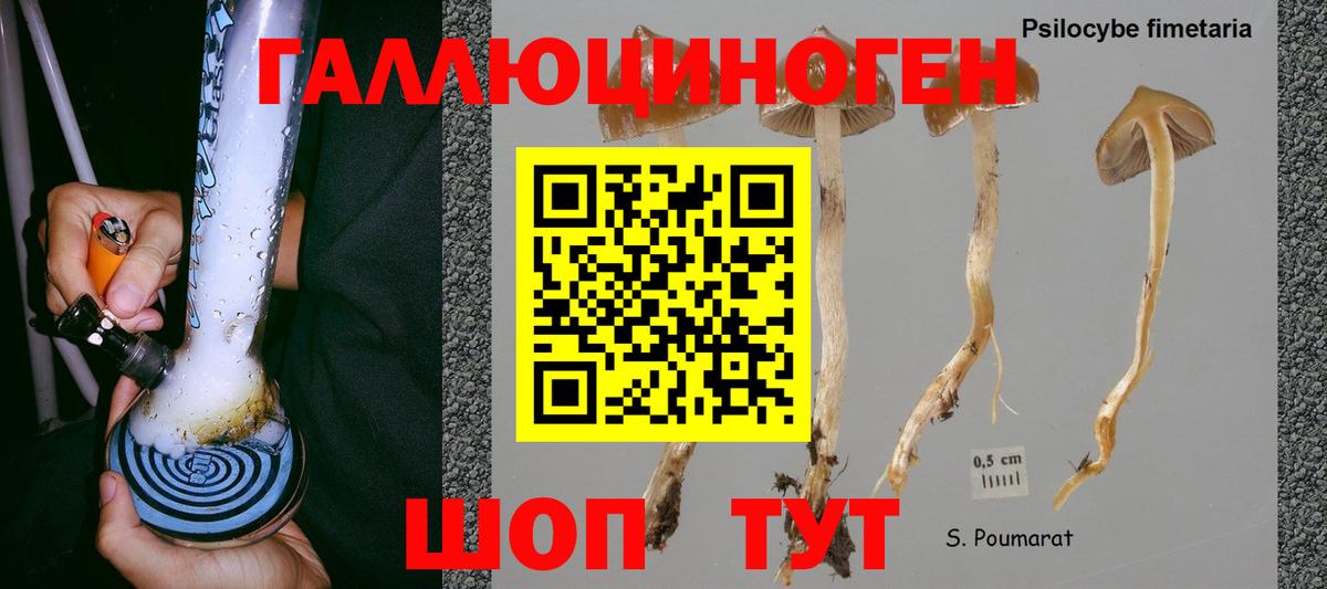 Прохладный  Псилоцибиновые грибы мухоморы  Галлюциногенные грибы Psilocybe  Вход с VPN 